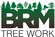 BRM Treework